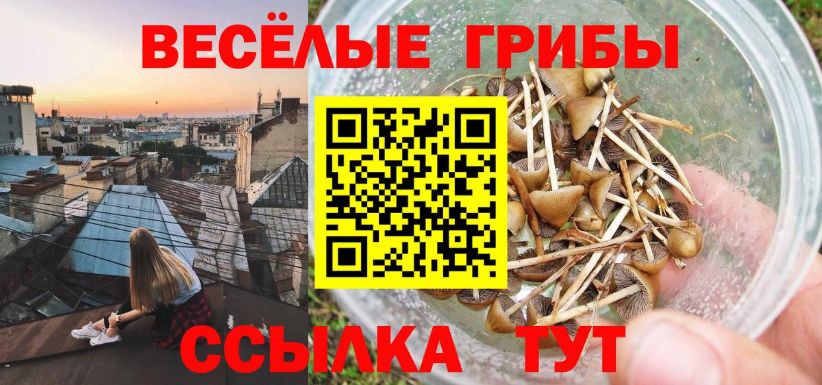 Псилоцибиновые грибы GOLDEN TEACHER  Вход с VPN  Сарапул 